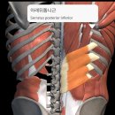 통증N바디테라피 이미지