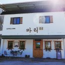 마리856 이미지