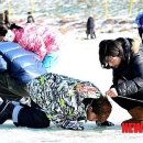 평창송어축제 이미지