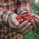 이일정보 이미지