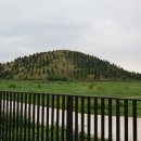 죽음도 갈라놓지 못한 사랑 이미지