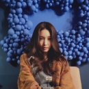 용인스타일 이미지