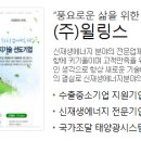 (주)윌링스