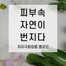 플로르 스토어 이미지