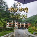 대장나무숲놀이터 | 임실 성수산왕의숲자연휴양림 휴양관에서 1박2일