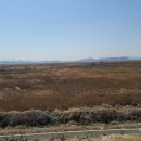 대호발전소 주식회사 이미지