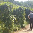 곰밭농장 이미지