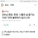 혼밥·혼영.. 나홀로 삶 즐기는 이유? 전혀 불편하지 않으니까! 이미지