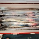 1대물호 이미지