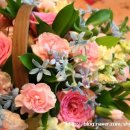 bloom 7. 후기~~!!