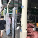 내돈내산 올레시장 맛집 짱이네 흑돼지 강정 전복김밥 흙돼지김치말이 치즈가재빵 흙돼지고로케 한라봉음료