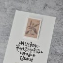 푸름디자인