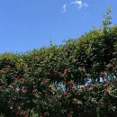 송산목장 | 어버이날🌹, 광주 스페이스챌린지 2026, 송산목장 재방문후기