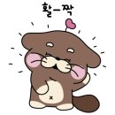 파스쿠찌구미 이미지