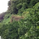 신효동-8 이미지