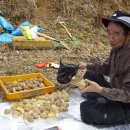 진섭농장 이미지