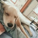 가평아띠펜션 이미지