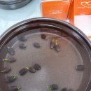 마음메디 이미지