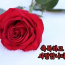 샬롬