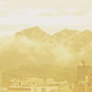 서울배내과의원 이미지