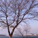 본점장터순대국 네이버블로그