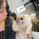넷플연가(현 동행클럽)우당탕탕 에세이클럽 후기, 에세이 쓰기 모임을 마치며