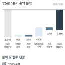 SK아이이테크놀로지 (3) 25.1Q 실적발표 읽어보기