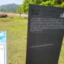 정이품송공원 화장실 이미지