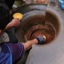 엑스포대로,오동도로 이미지