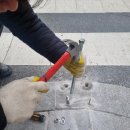 스타벅스 앞 횡단보도 이미지