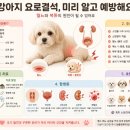 멍멍이네 - 경산시 대학로 385 | 멍멍이네