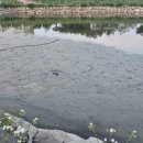 유수지 감시 이미지