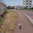 오멍가멍 애견카페&호텔 이미지