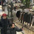 미세스 그린애플 무대인사 후기 (+쇼핑하는 미세스를 우연히 마주칠 확률은?)