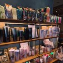 체리블라썸 | 스타벅스 2026년 체리블라썸 MD 실사후기