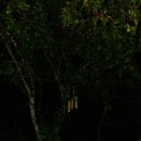 모란골민박