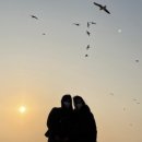 자담하우스 이미지