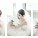 라티엔느 이미지