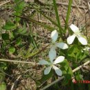 왓다민박 이미지