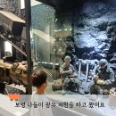 유아 동반 보령 나들이 석탄박물관 솔직 후기