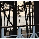 사랑이 머무는 펜션 이미지