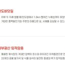 고천보건진료소 Daum카페