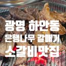 은행나무 갈매기 | 광명 하안동 소갈비맛집 🍖 은행나무갈매기 소갈비살 왕냉면 후기