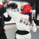 강한합기도 이미지