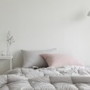 더설레임 이미지