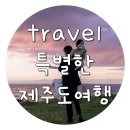 제원 | 다사다난 여름 제주 모음집