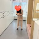 마제스타투어 이미지