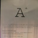 럭스텐 네이버블로그