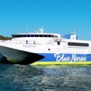 완도8호 이미지