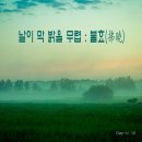 DAY U 이미지